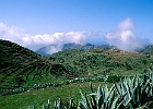 La Gomera, Terrassenlandschaft oberhalb dem Töpferdorf  Cercado, im westlichen Hochland der Insel. : Agaven, Terrassenfelder